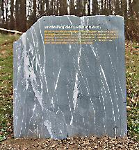 Bild 19454