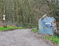 Bild 19486
