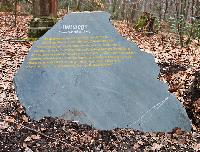 Bild 19487