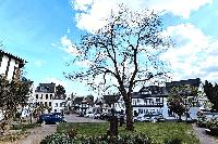 Bild 19586