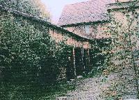 Bild 19616