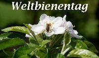 Bild 19627