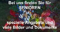 Bild 19733