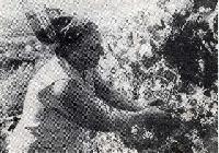 Bild 19738