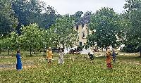 Bild 19800