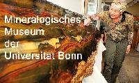 Bild 19816