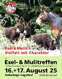 Bild 19918