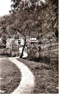 Bild 1653