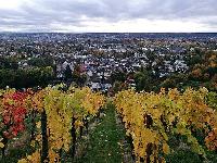 Bild 14611
